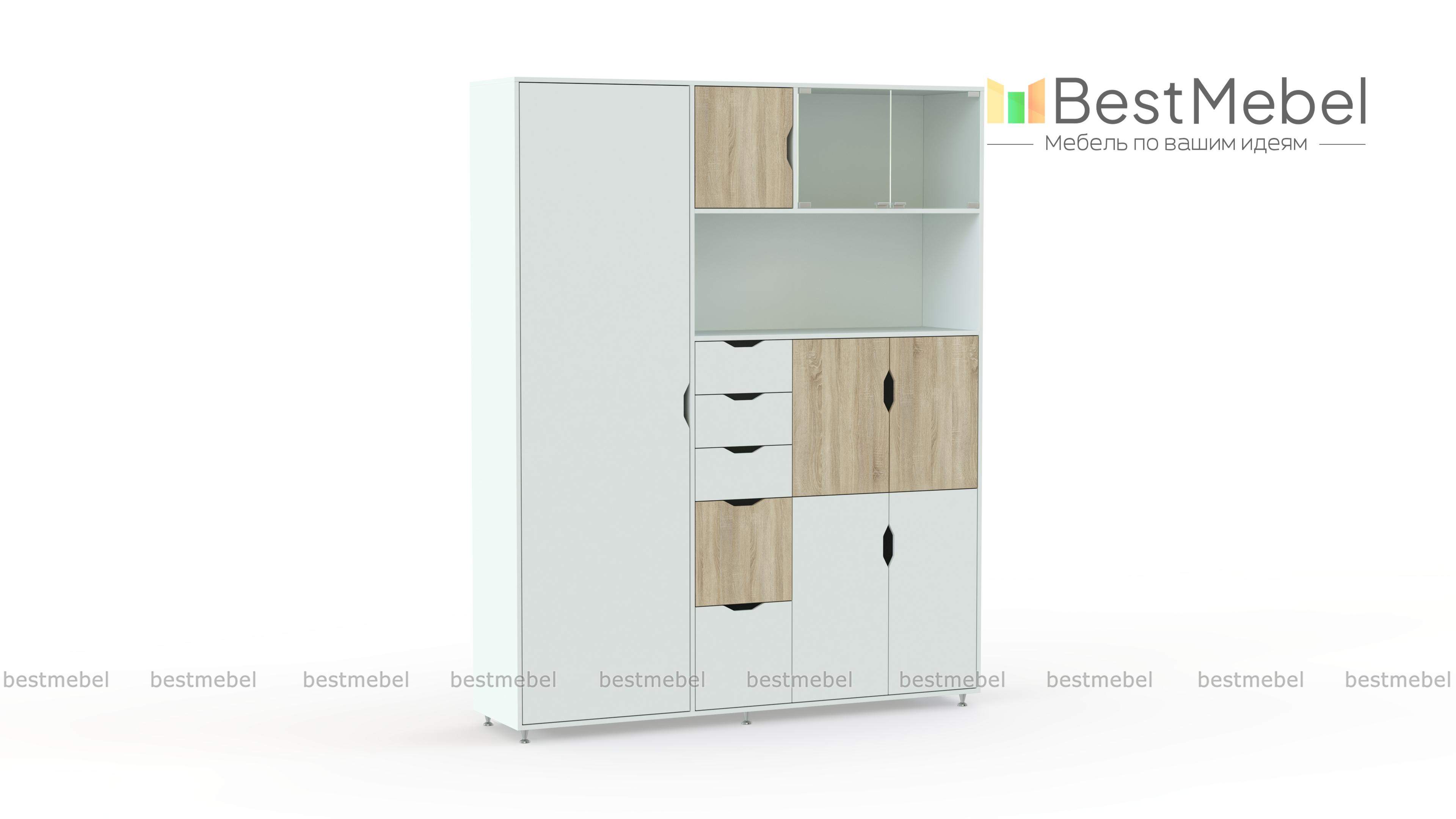 Шкаф комбинированный Авгий BMS - Фото