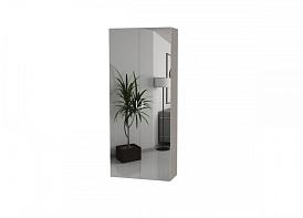 Распашной шкаф Bauhaus 8-2 BMS(Белье - Платье с полкой (2)) (1160х2430х700)